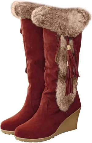 GUNIYIFS Womens Winter Snow Boots Chunky Heel Fur Lined Warm Boots Comfortable Slip On Suede Mid-Calf High Heel Boots Fashion