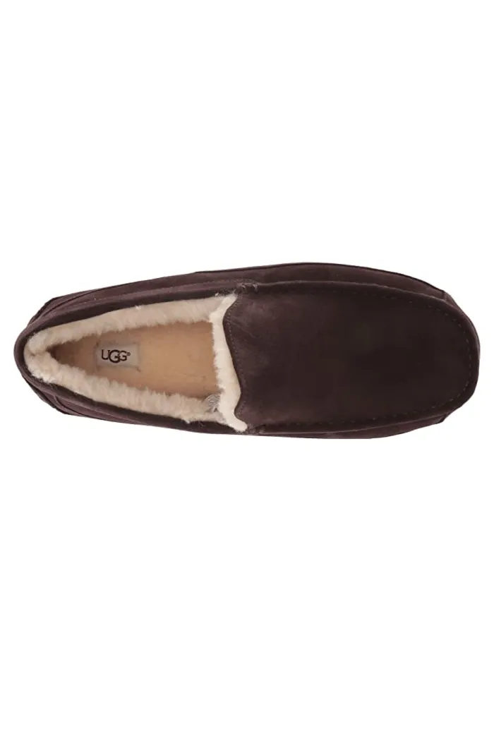 Ugg Men's Ascot Slipper