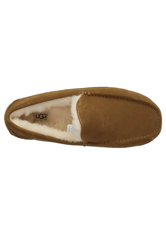 Ugg Men's Ascot Slipper