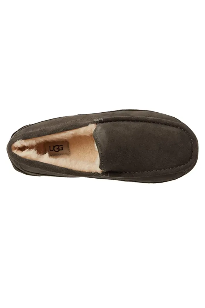 Ugg Men's Ascot Slipper